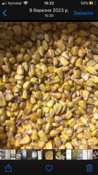 Продам кукурудзу