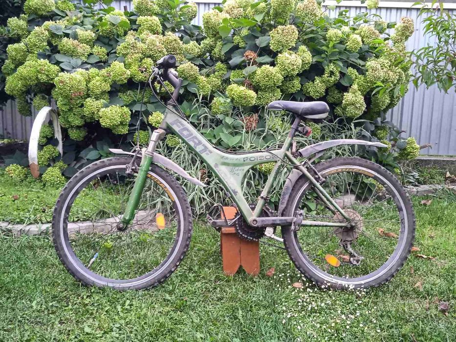 Велосипед FORT Poison