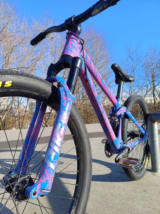 Rower Canyon 720 custom (pike,freecoaster)