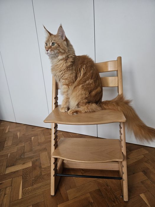 Krzeslo Stokke Tripp Trapp idealne
