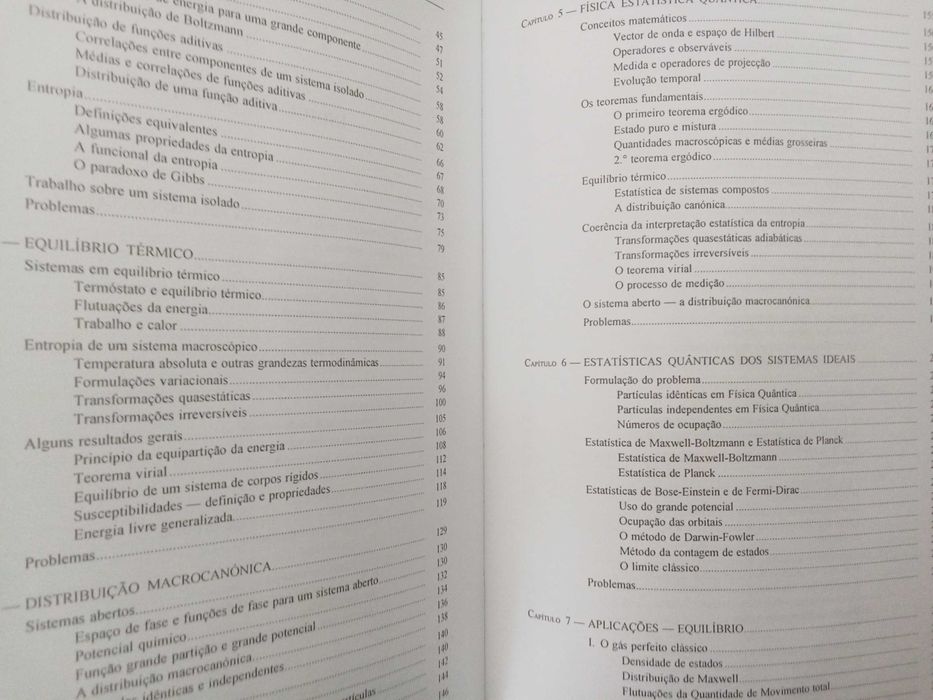 Física Estatística - E. J. S. Lage