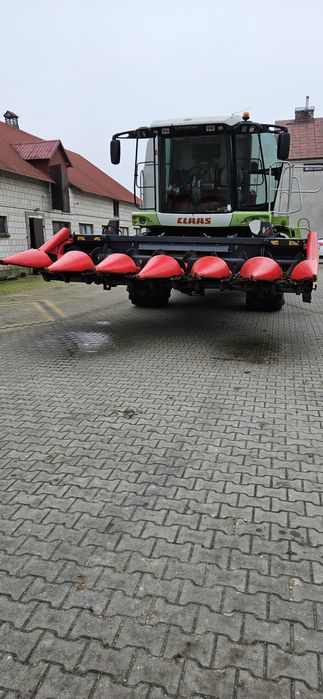 Przystawka do kukurydzy Capello Quasar  R6