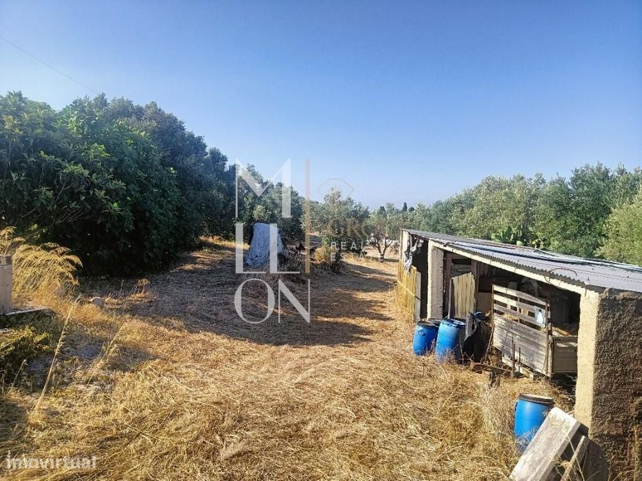 ️ Terreno com 7.000 m2 no centro de Manique — Ideal para Equipamento