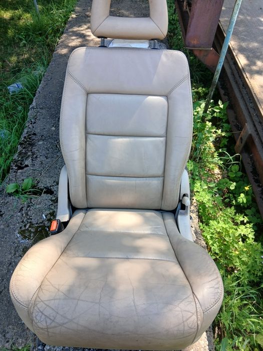 Сидіння, сидушка шаран