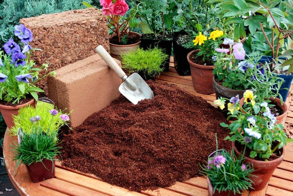 Podłoże dla storczyków, podłoże kokosowe 100% naturalne 5L opakowanie