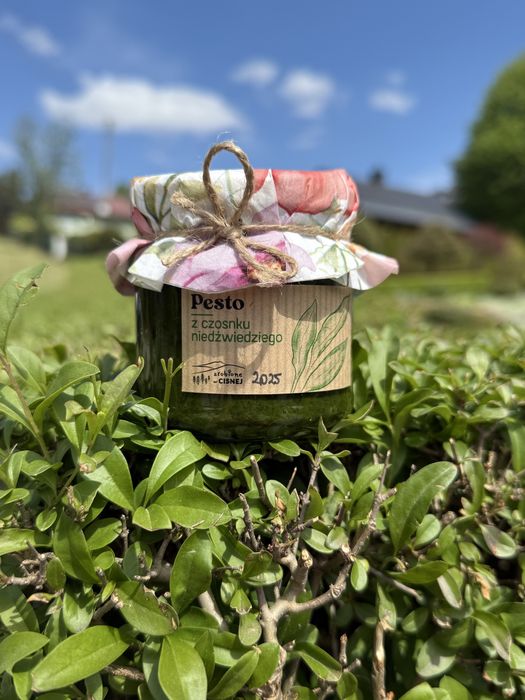 Pesto z czosnku niedźwiedziego 2025