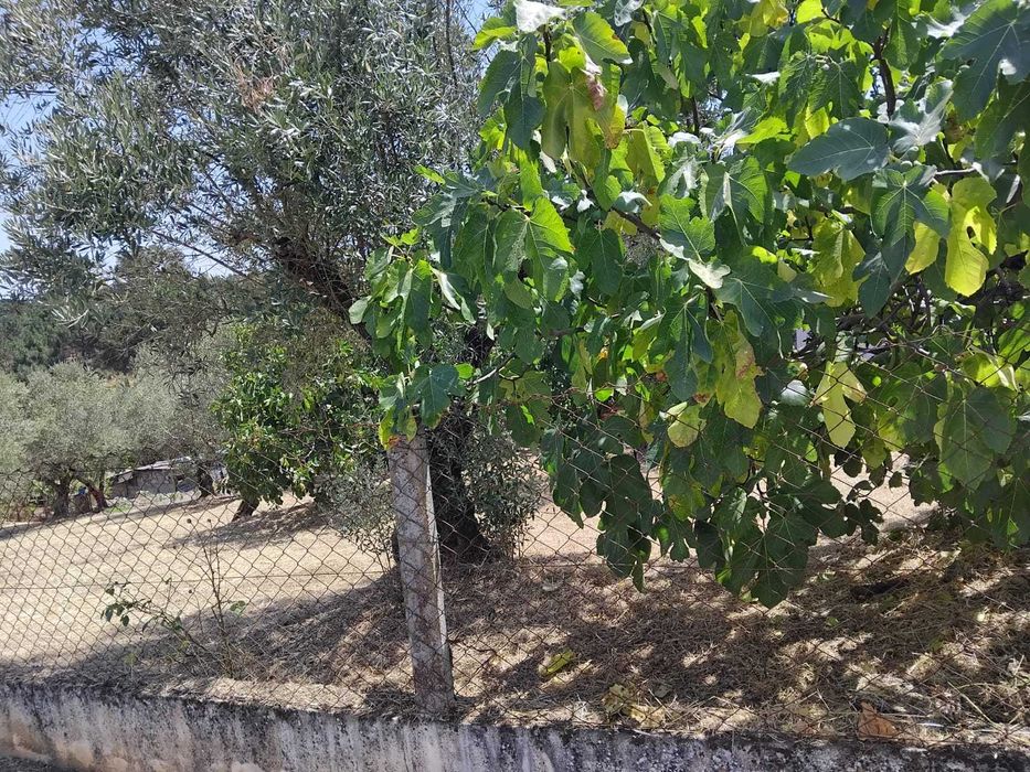 Terreno Urbano para Construção