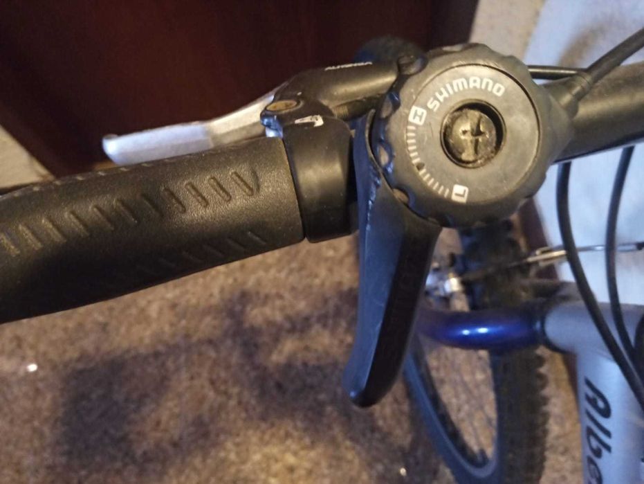 Large bicycle / 6-speed Shimano / Brand: Alberto Silva.64297818465665124