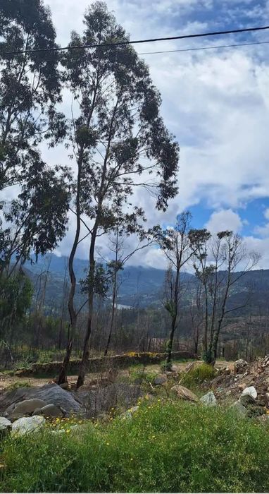 Bouça em Balde sta Leocádia-Baião