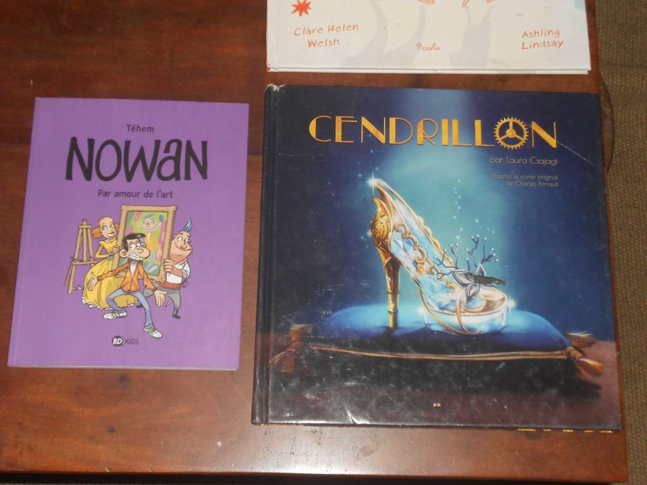 Livros infantis juvenis em lingua francesa BD e outros