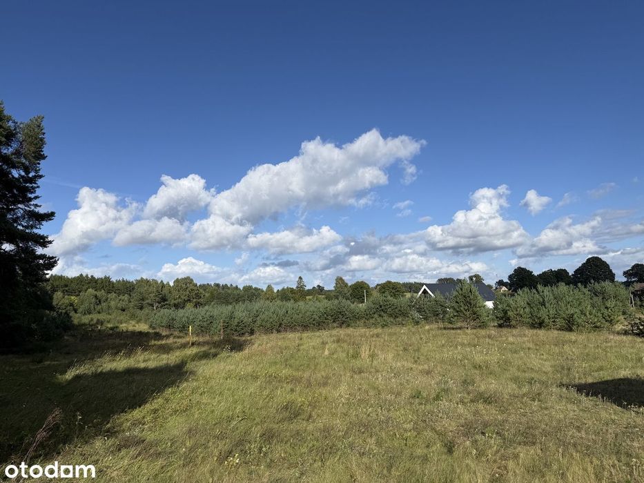 Działka budowlana Bojano 1849 m² - Widok 2