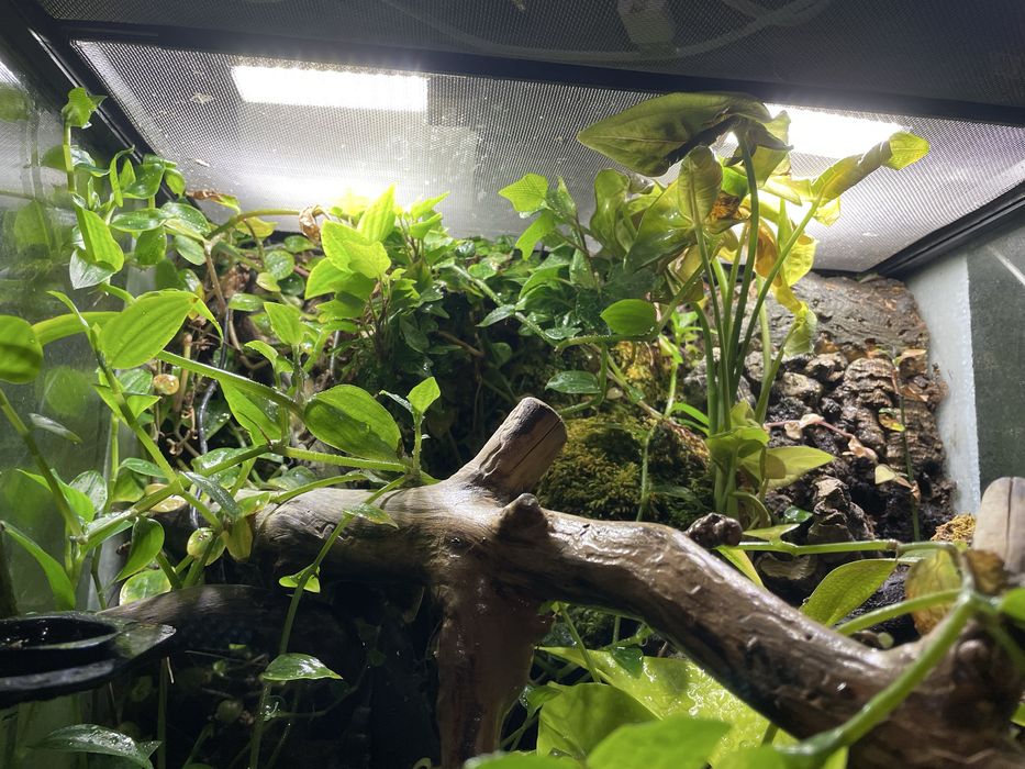 Terrarium paludarium exa terra