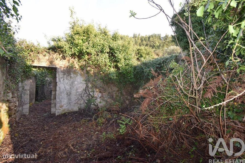 Casa / Villa em São Miguel, Santa Eufémia e Rabaçal de 300 m2