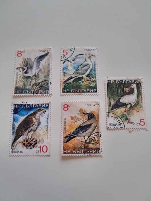 Selos Bulgaria - Aves