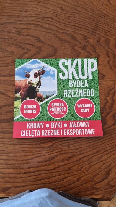 Skup cieląt i bydła