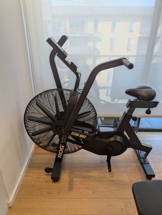 Rogue Echo Air Bike
