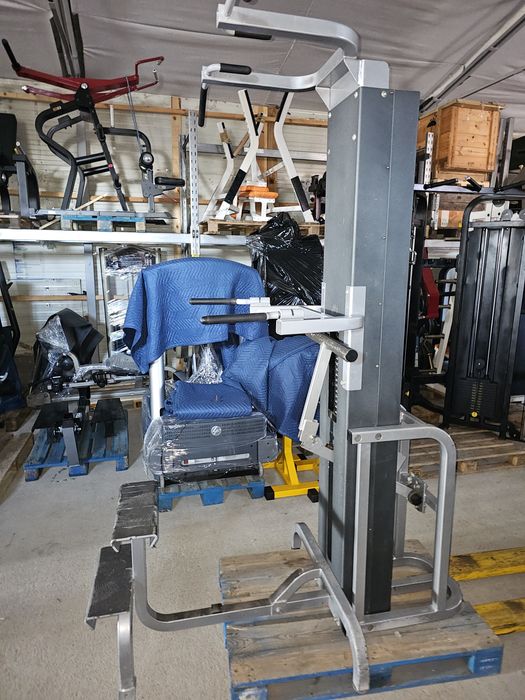 Asystent podciągania Chin Dip Cybex