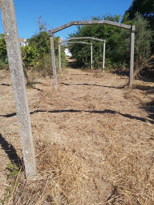 Vendo terreno urbano em Santarém