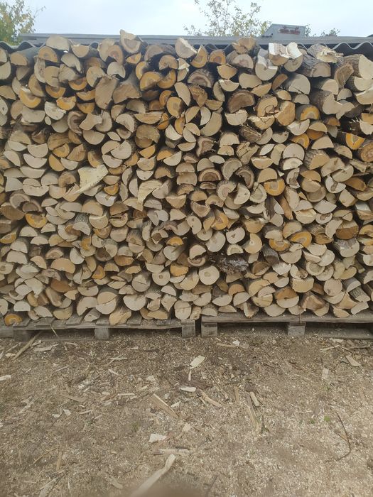 Продам дрова твердых пород рубанные.