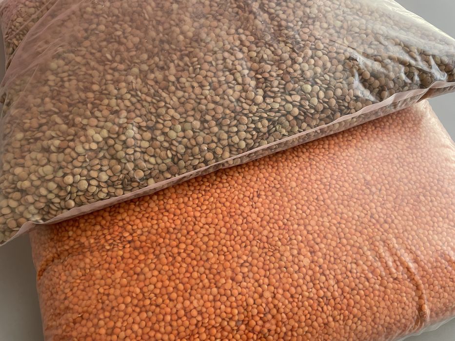 Зелена сочевиця. Чечевиця Крупи, зерно. Якісна, чиста, без сміття