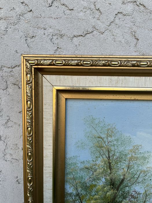 Quadro medio de uma paisagem na montanha