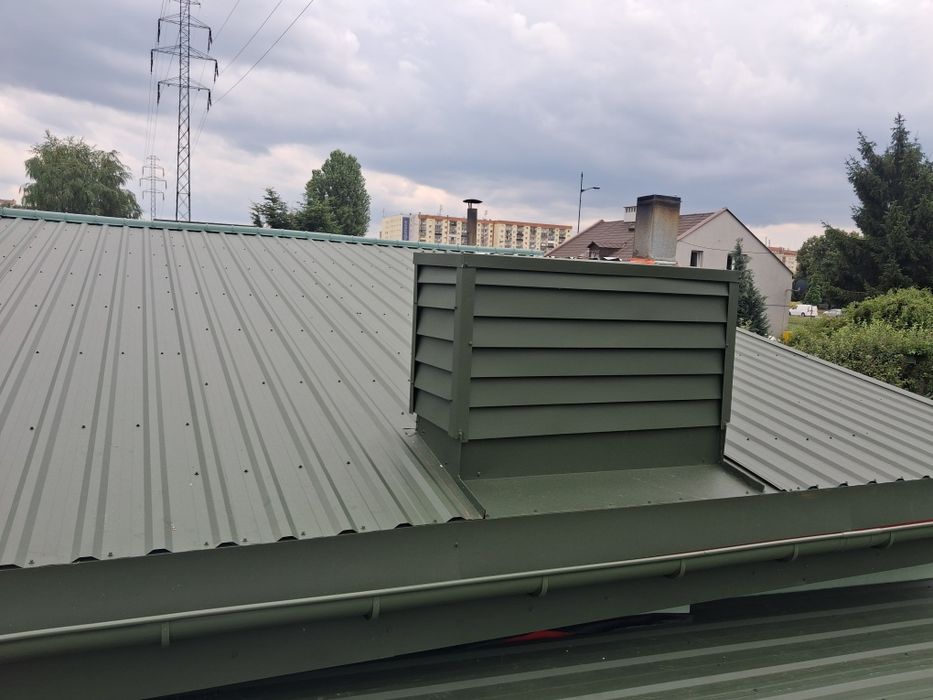 Naprawy przecieki, malowanie dachu,renowacja