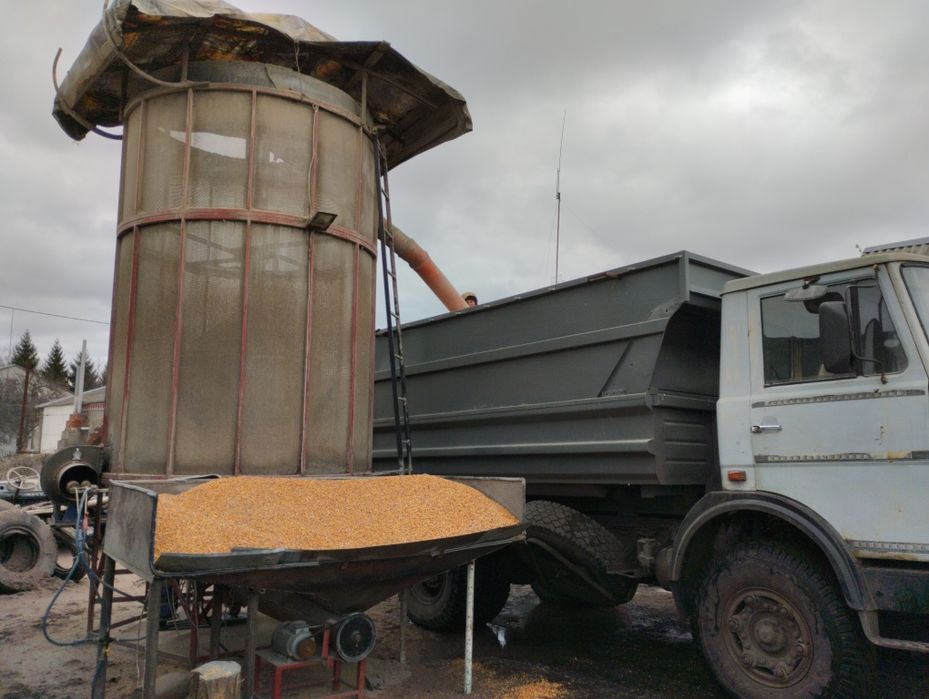 Зерносушарка зерносушка зерносушилка сушка зерна