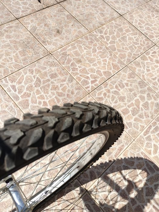 Bicicleta  Criança GOLDBIKE R24
