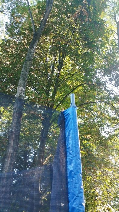 Trampolina neo sport 3m