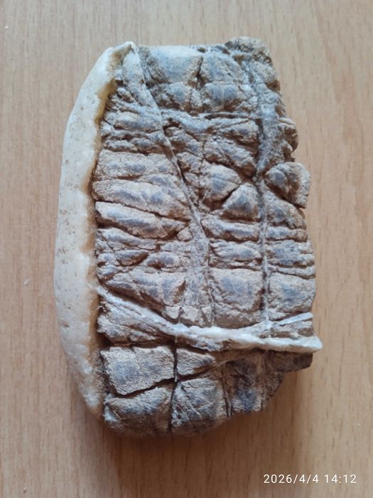 Najstarsze kościi do gry? Gra losowe?