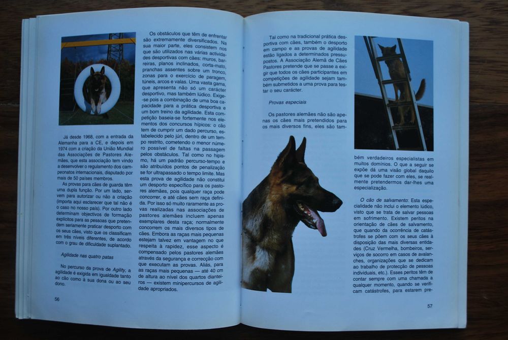 O Pastor Alemão de Reiner Voltz