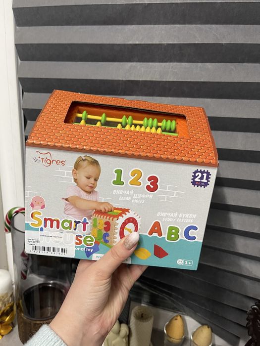 Бізі-будинок, сортер