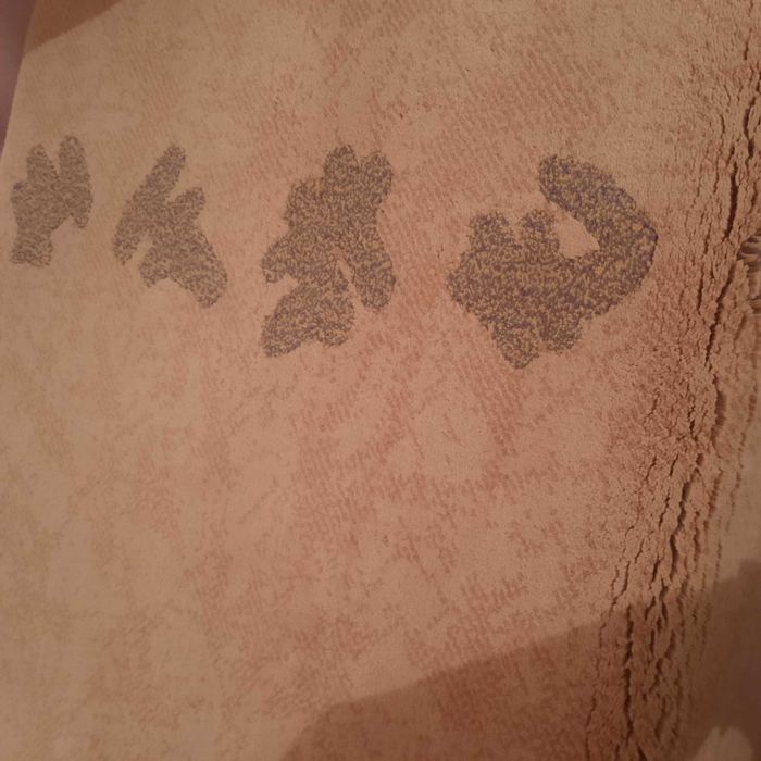 Carpetes duas bom estado e qualidade