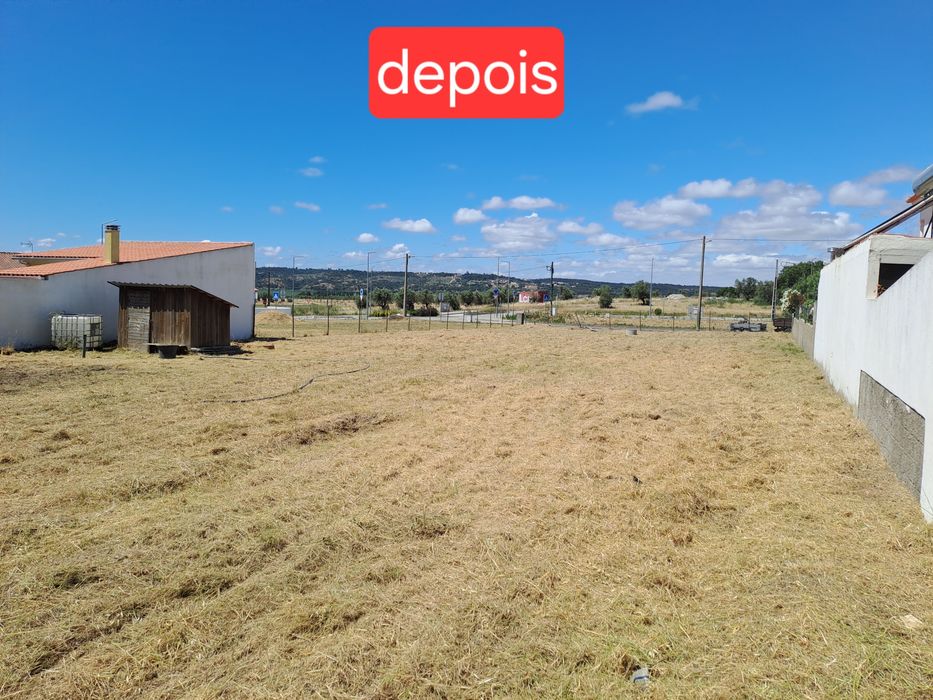 Limpeza de terrenos/ desmatação/ lavouras com trator