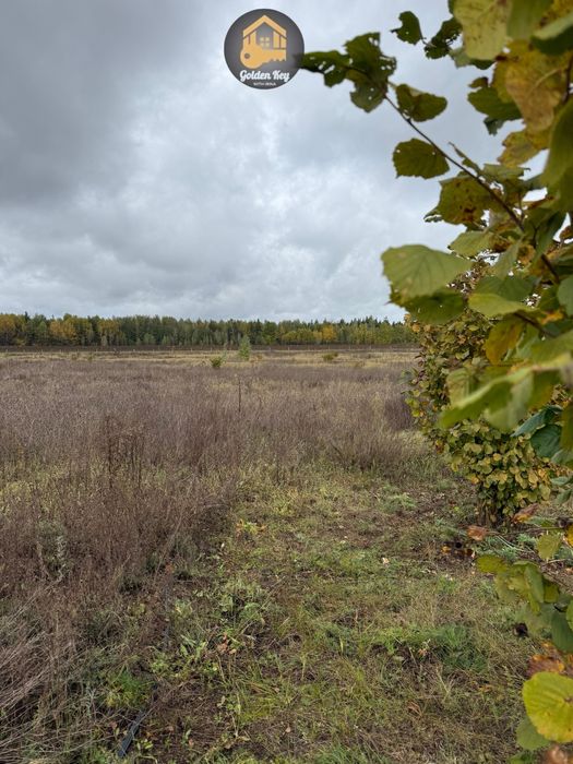 Продам 1.4га під садівництво, засаджено горіхами, бізнес, 40кмКиїв