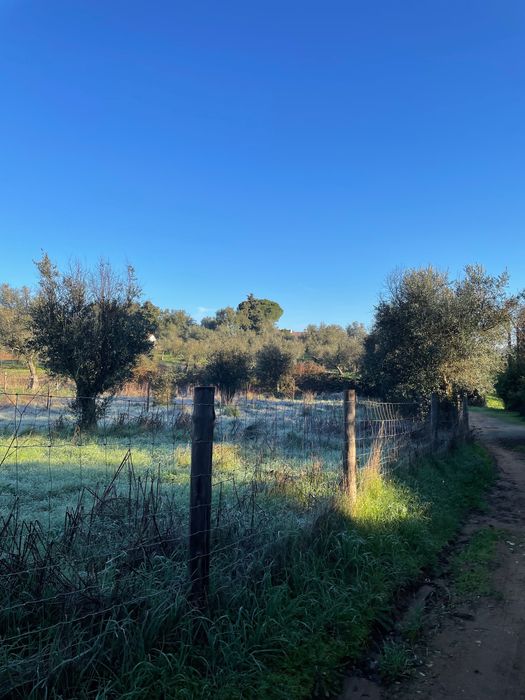 Terreno com ruina no meio do campo