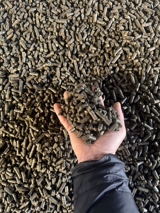 Паливна гранула/пілета