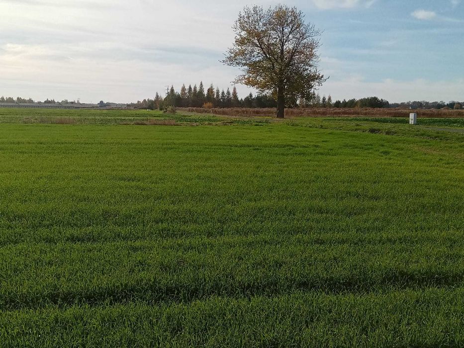Sprzedam działkę budowlaną - Widok 6