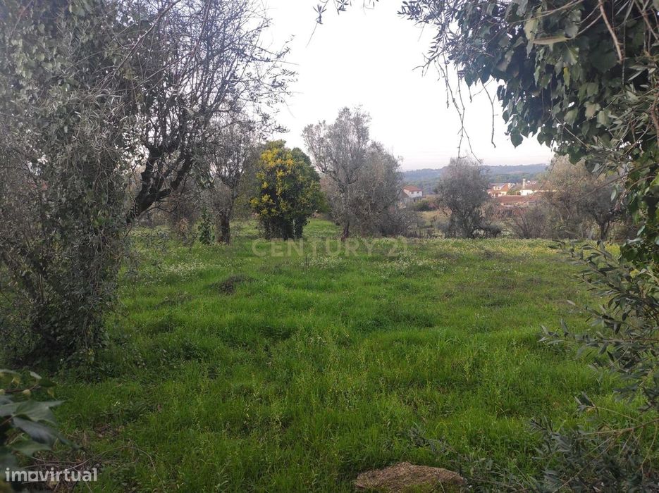 Terreno à venda em Silgueiros, Viseu