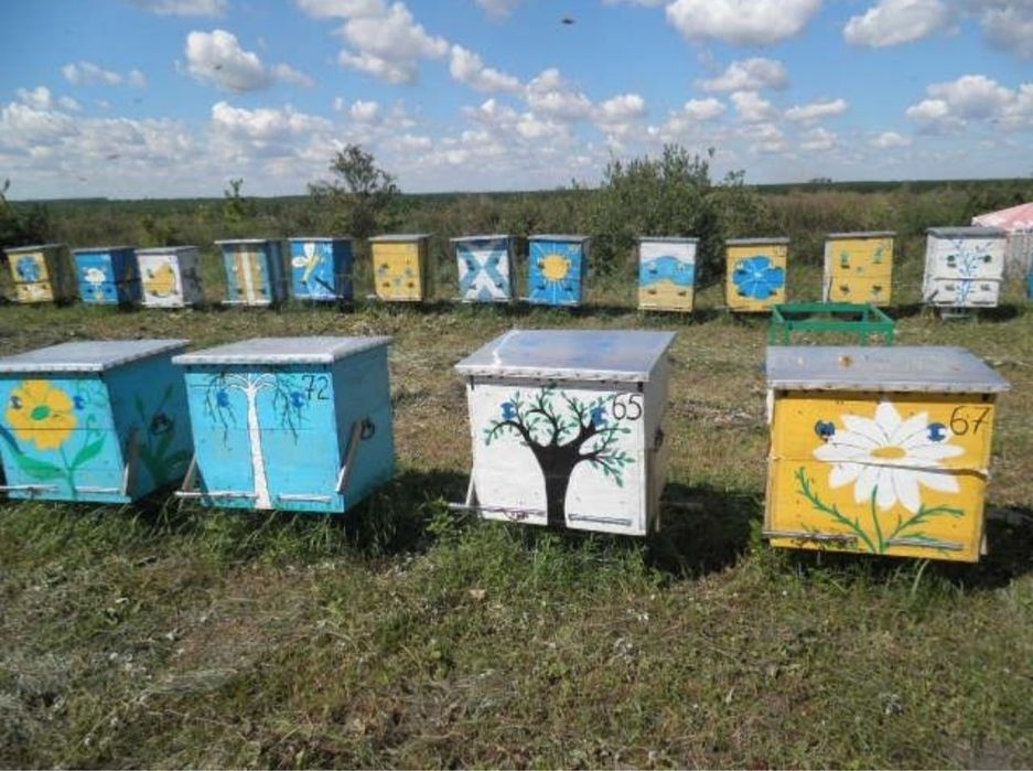 Екстракти пасіки