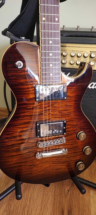 Profesjonalna Gitara Elektryczna