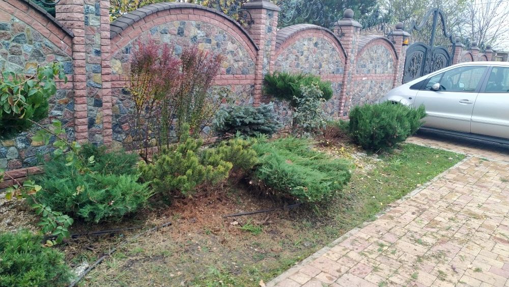 Комплексний догляд за вашим садом