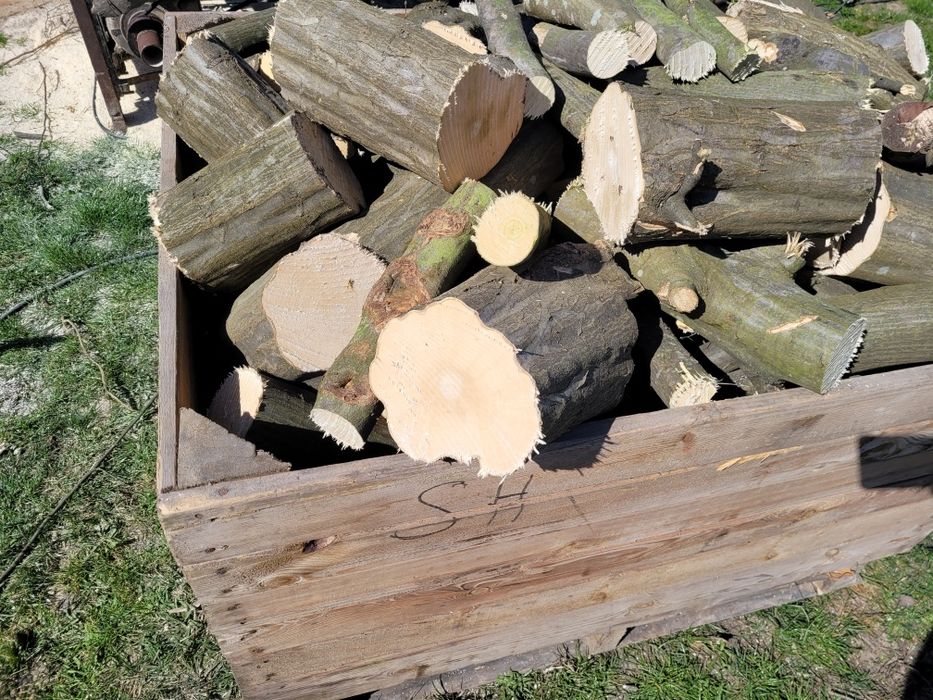 Drzewo opałowe, kominkowe liściaste Dąb, Grab