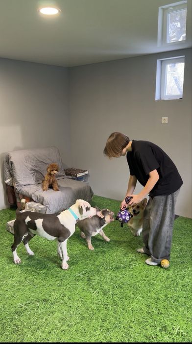 Перетримка | Готель та садок для собак HilDog | Київ