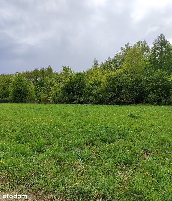 Sprzedam działki budowlane w Gąskach pod Warszawą