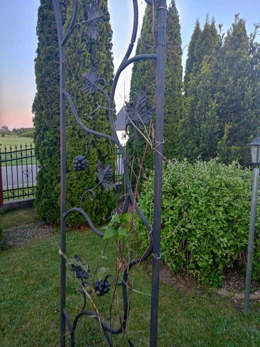 Pergola metalowa kuta do kwiatów