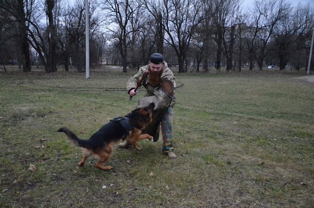 Послуги Кінолога