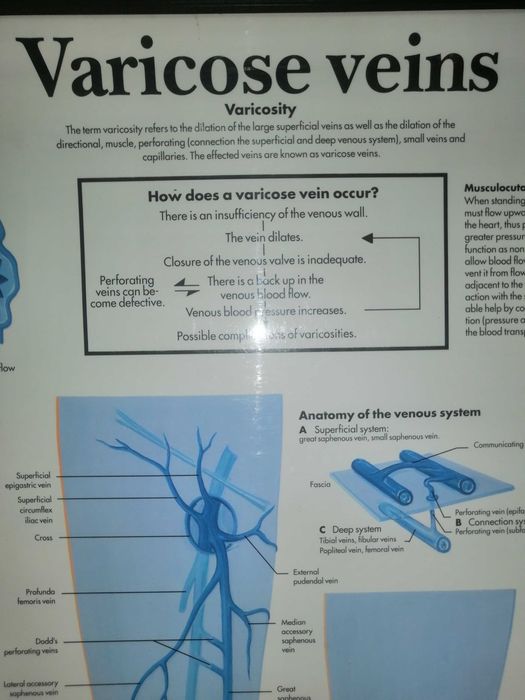 Mapa do corpo humano