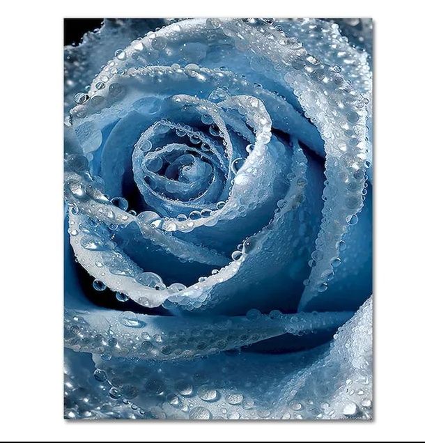 Картина по номерам красками 20*30