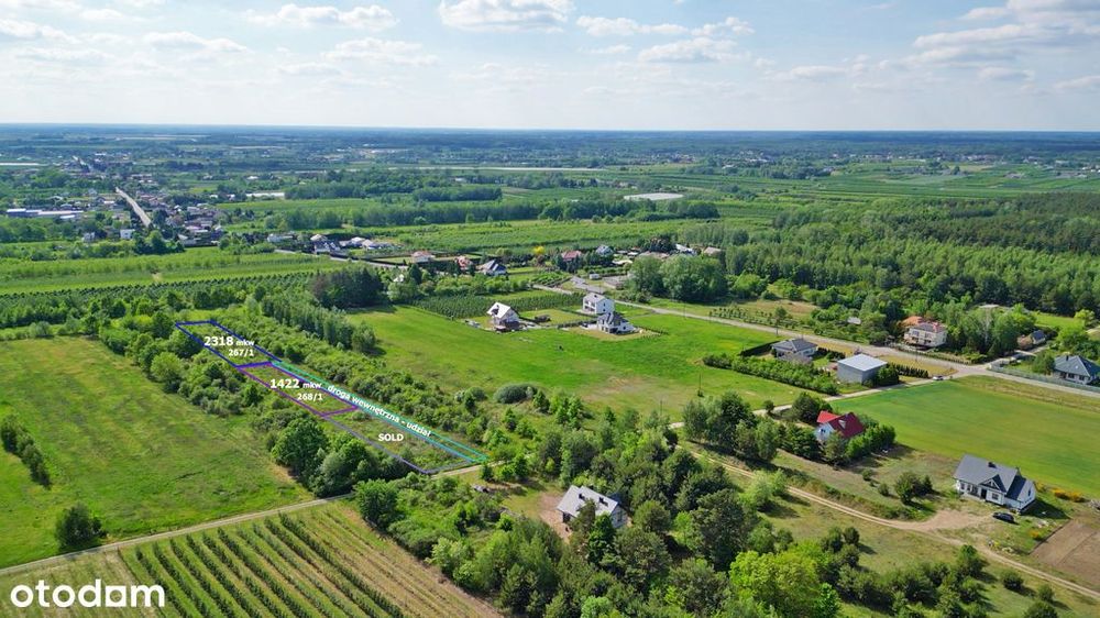 Działka 2318m z W-Z | PKP Chynów 2km | Prąd | DK50 - Widok 3